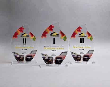 Пример работ «Награды» №81 Пример работ «Награды» №81