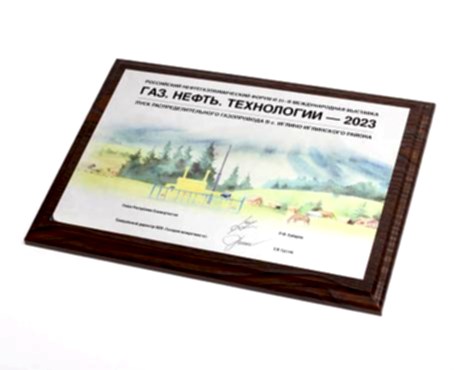 Пример работ «Сублимация» №17 Пример работ «Сублимация» №17