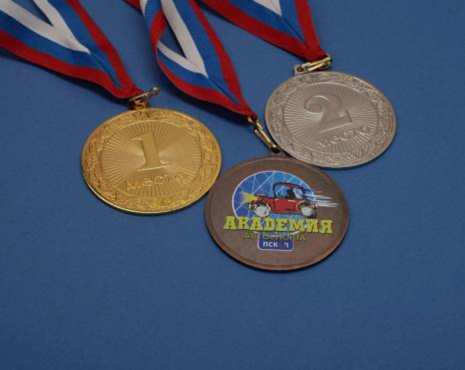 Пример работ «Медали» №23 Пример работ «Медали» №23