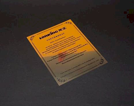 Пример работ «Шильды» №13 Пример работ «Шильды» №13