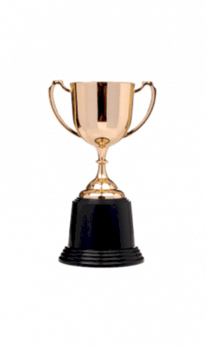 Награды Награды