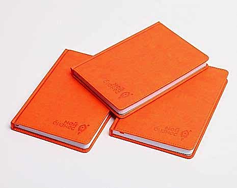 Пример работ «Ежедневники и блокноты» №29 Пример работ «Ежедневники и блокноты» №29