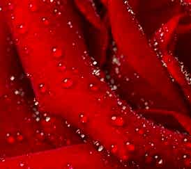 Изделия со смолой Изделия со смолой