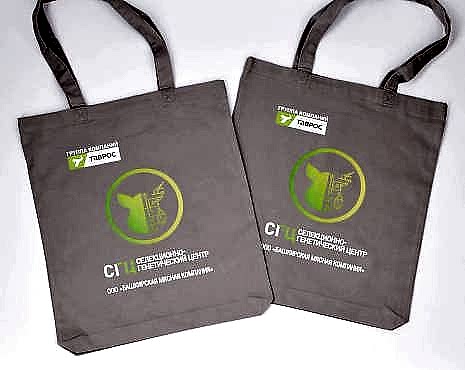 Пример работ «Сумки-шопперы с логотипом» №8 Пример работ «Сумки-шопперы с логотипом» №8