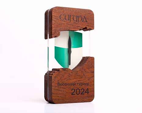 Пример работ «Награды» №70 Пример работ «Награды» №70