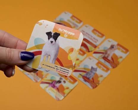 Пример работ «Магниты» №7 Пример работ «Магниты» №7