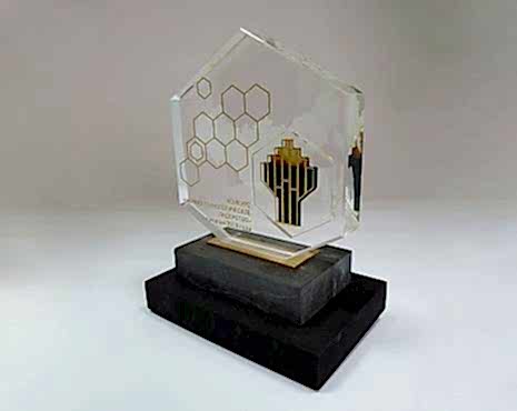 Пример работ «Награды» №21 Пример работ «Награды» №21