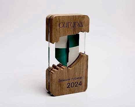 Пример работ «Мерч» №217 Пример работ «Мерч» №217