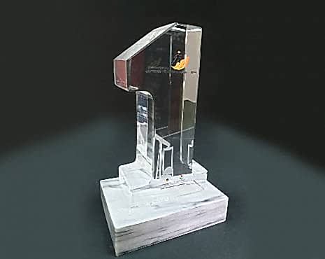 Пример работ «Награды» №19 Пример работ «Награды» №19