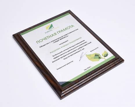 Пример работ «Подарочные плакетки» №19 Пример работ «Подарочные плакетки» №19