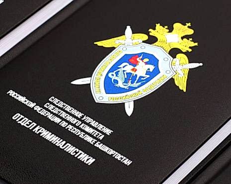 Пример работ «Ежедневники и блокноты» №55 Пример работ «Ежедневники и блокноты» №55