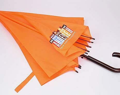 Пример работ «Зонты» №31 Пример работ «Зонты» №31