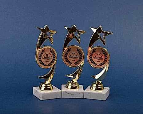 Пример работ «Награды» №27 Пример работ «Награды» №27