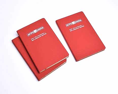 Пример работ «Ежедневники и блокноты» №3 Пример работ «Ежедневники и блокноты» №3