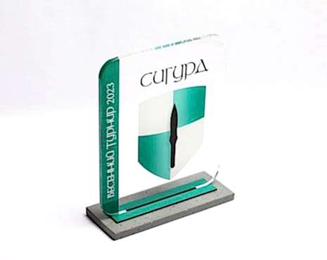 Пример работ «Награды» №32 Пример работ «Награды» №32