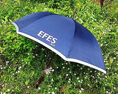 Пример работ «Зонты» №5 Пример работ «Зонты» №5