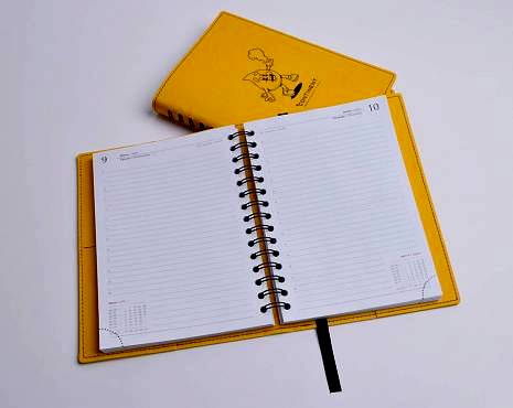 Пример работ «Ежедневники и блокноты» №15 Пример работ «Ежедневники и блокноты» №15