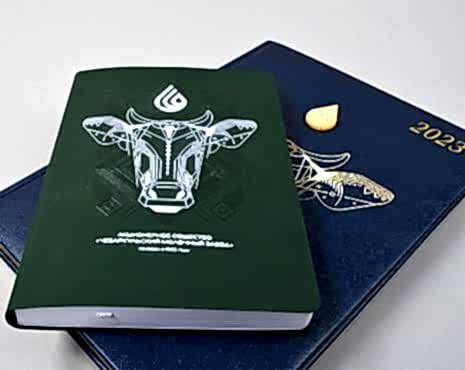 Пример работ «Ежедневники и блокноты» №52 Пример работ «Ежедневники и блокноты» №52