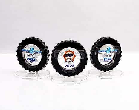 Пример работ «Награды» №38 Пример работ «Награды» №38