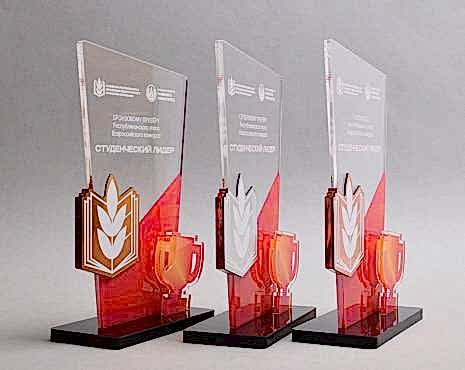 Пример работ «Награды» №1 Пример работ «Награды» №1