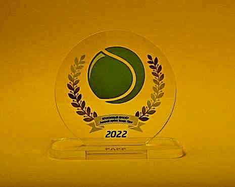 Пример работ «Награды» №44 Пример работ «Награды» №44